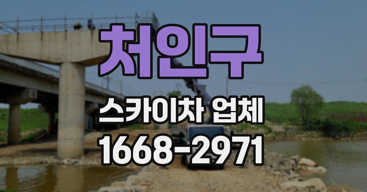처인구 스카이차 업체