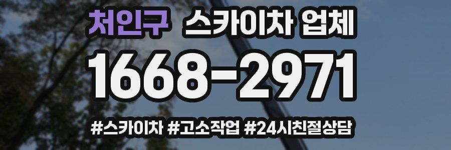 처인구 스카이차 업체