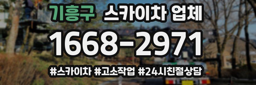 기흥구 스카이차 업체