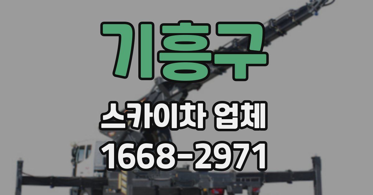 기흥구 스카이차 업체