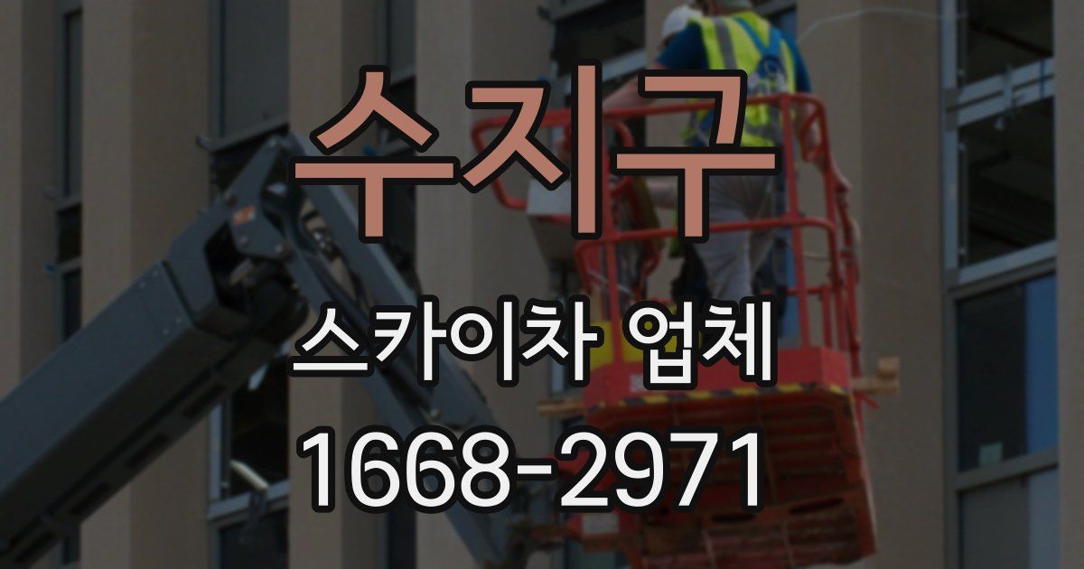 수지구 스카이차 업체