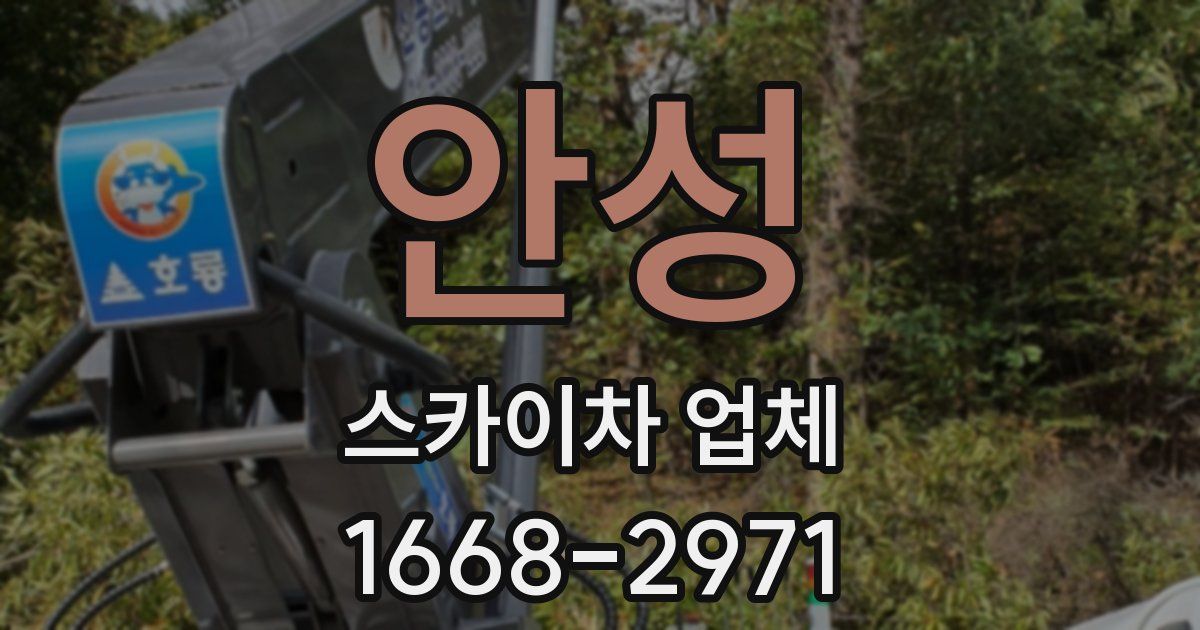 안성 스카이차 업체