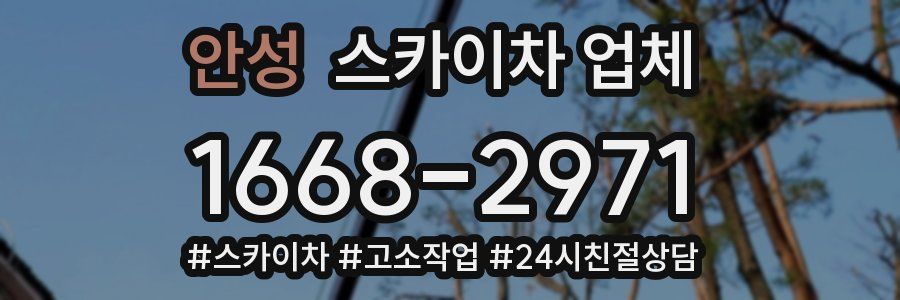 안성 스카이차 업체