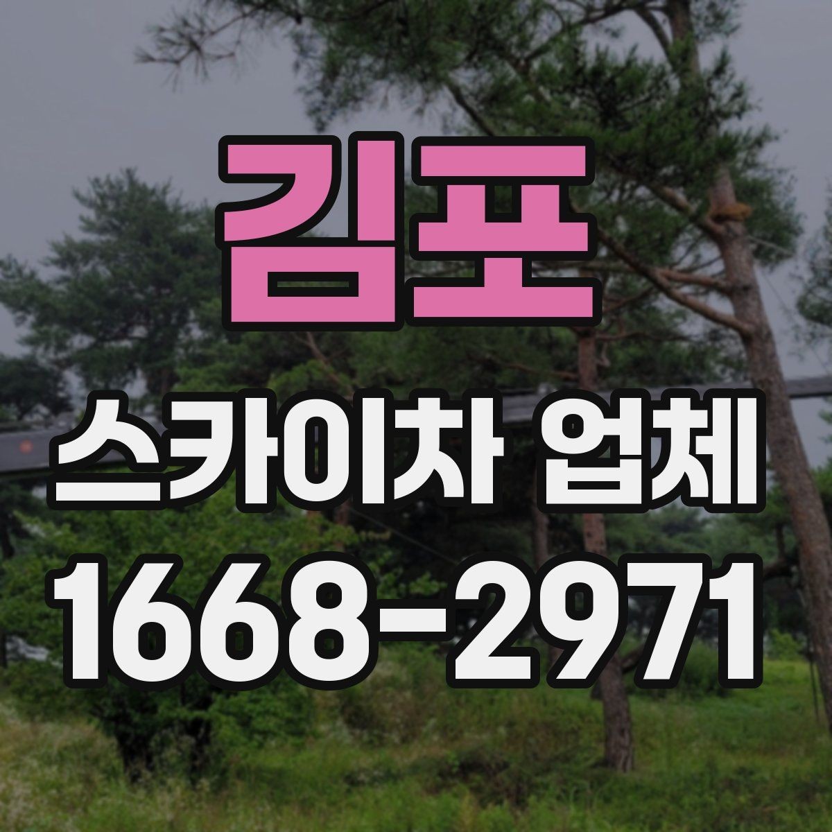 김포 스카이차 업체 이용 비용 산정 기준 정리