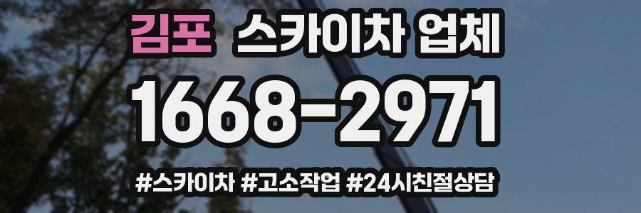 김포 스카이차 업체