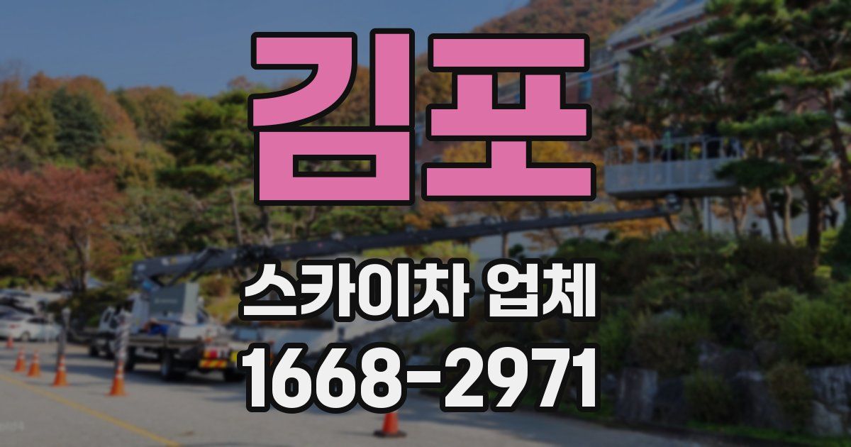 김포 스카이차 업체