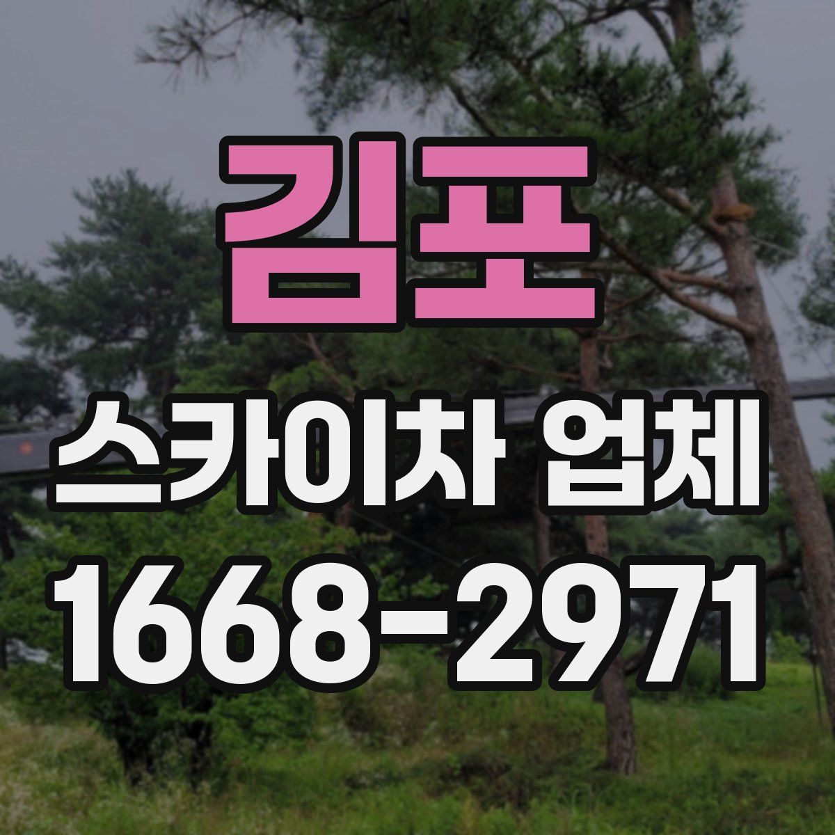김포 스카이차 업체