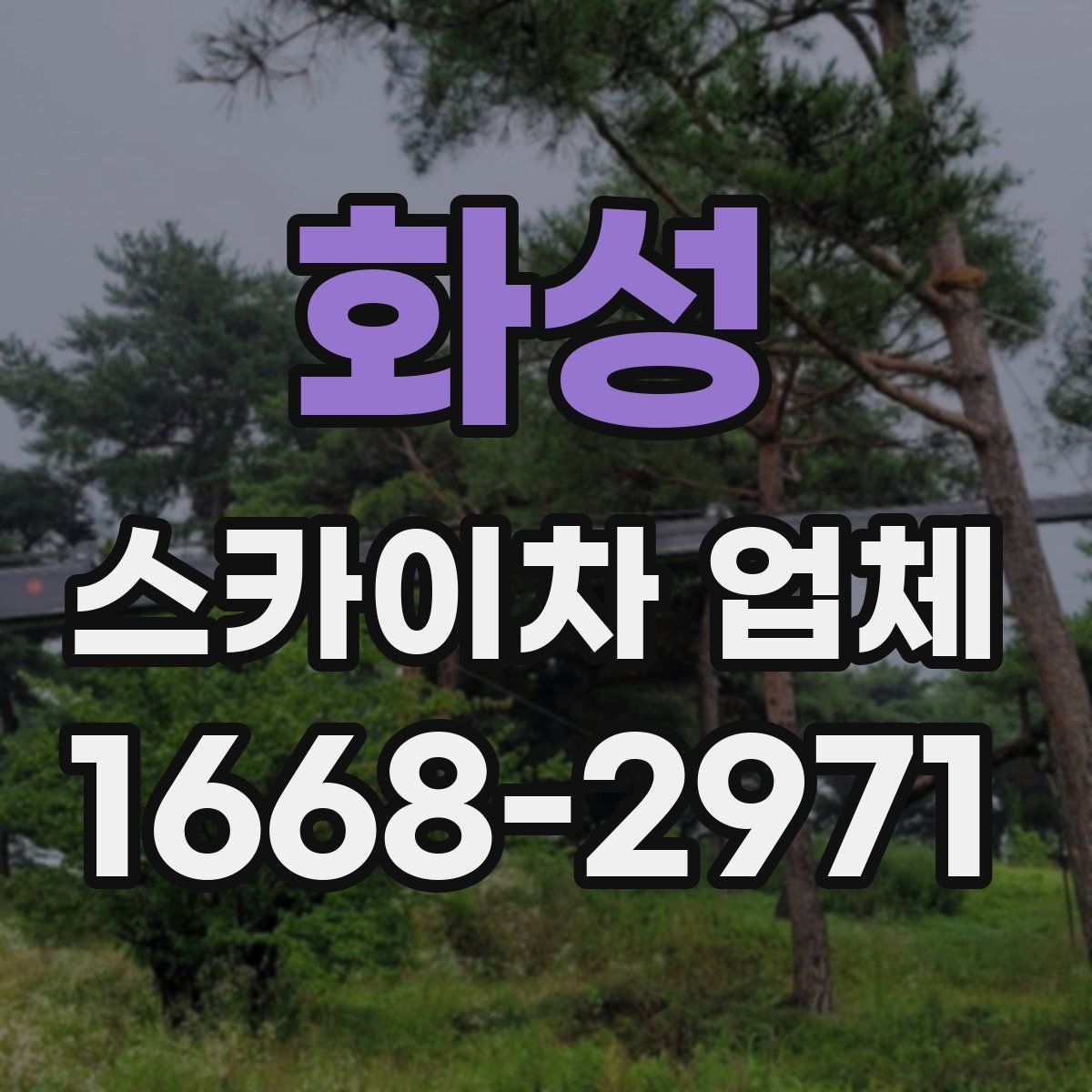 화성 스카이차 업체