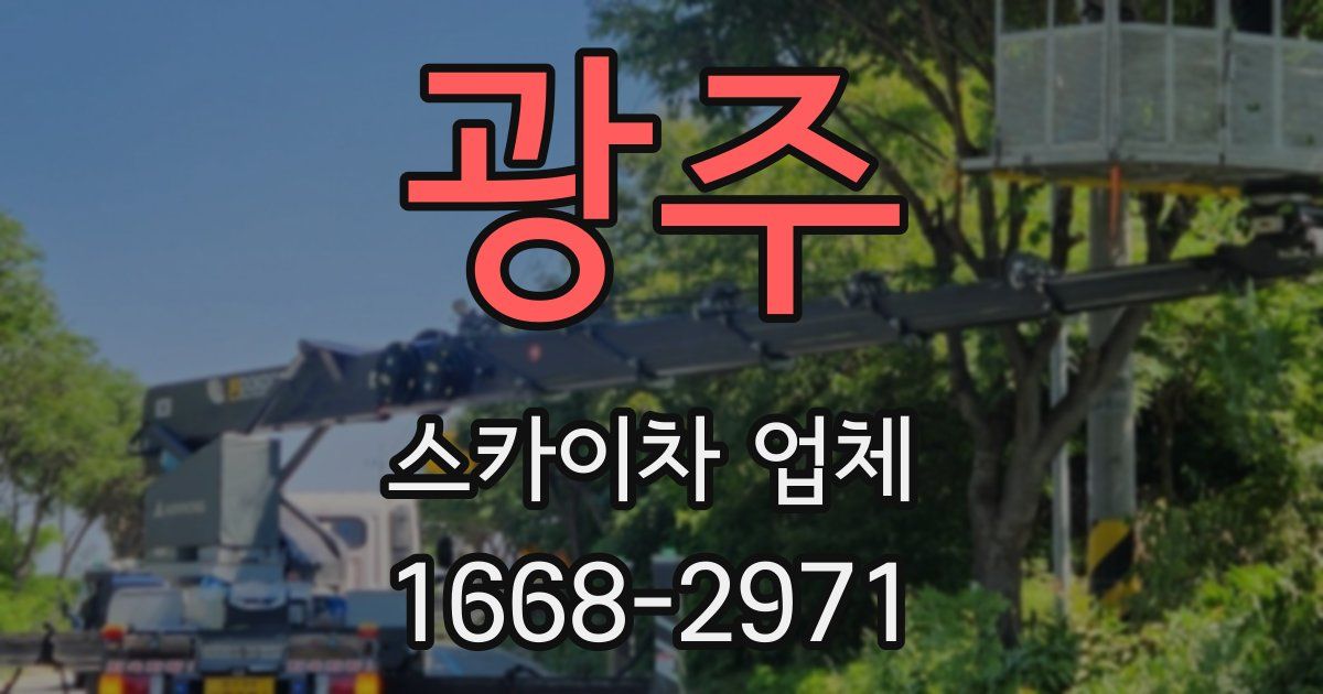 광주 스카이차 업체