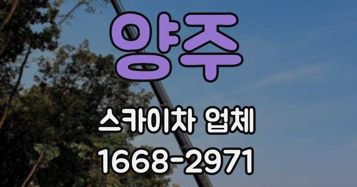 양주 스카이차 업체