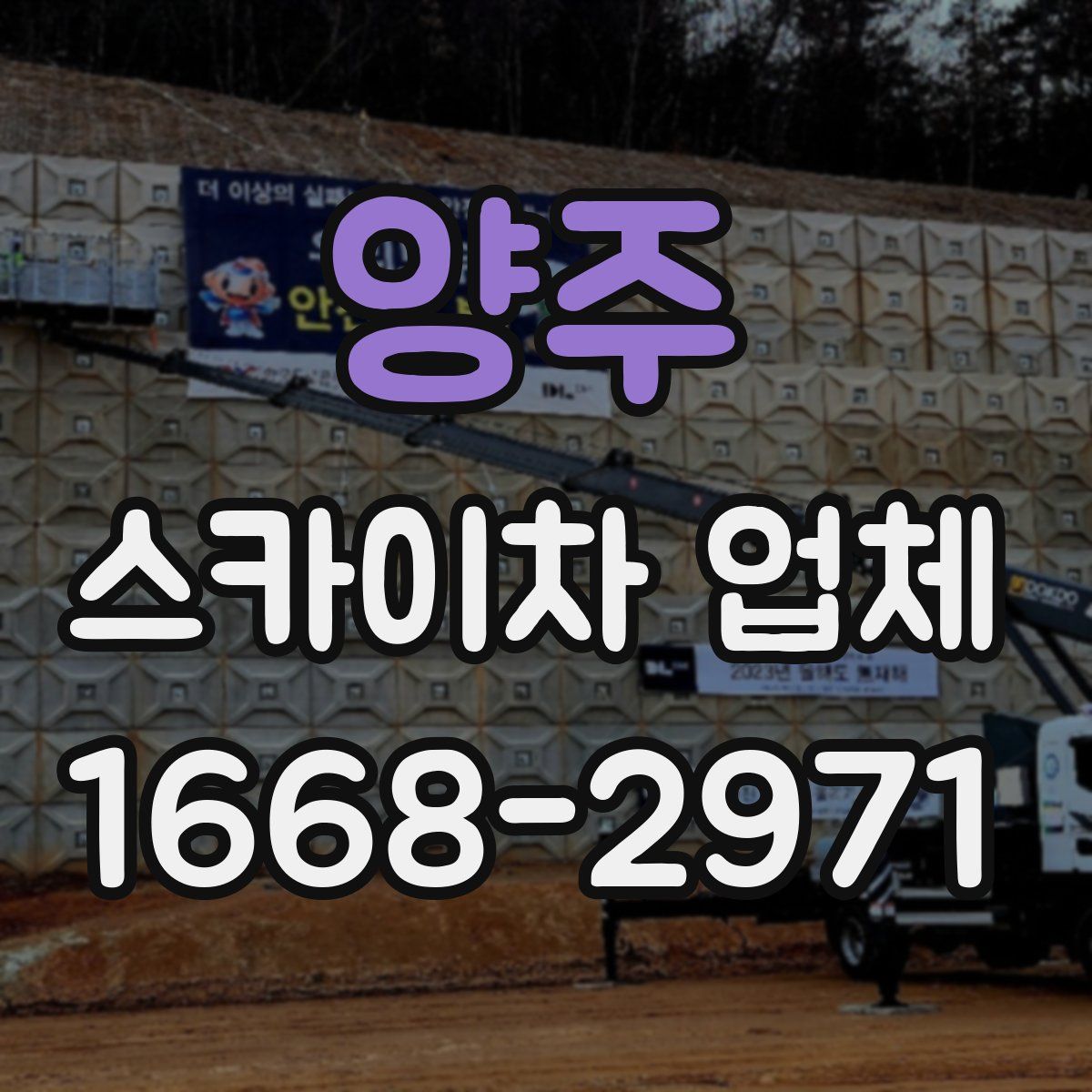 양주 스카이차 업체