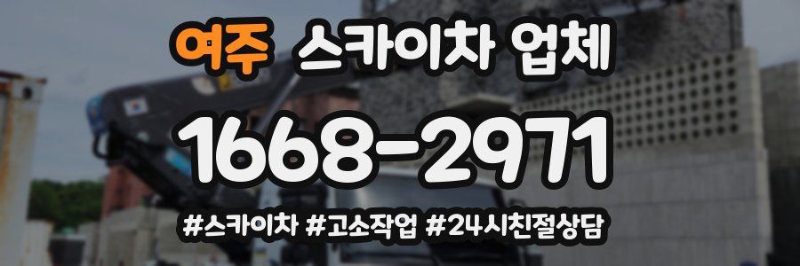 여주 스카이차 업체