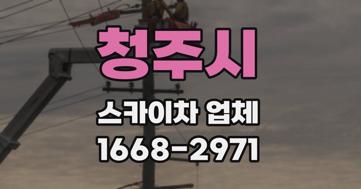 청주시 스카이차 업체