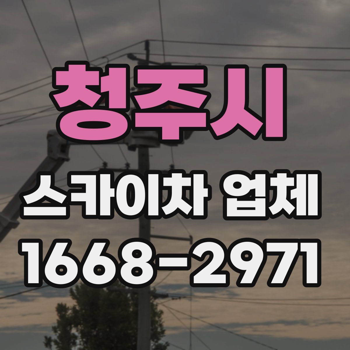 청주시 스카이차 업체