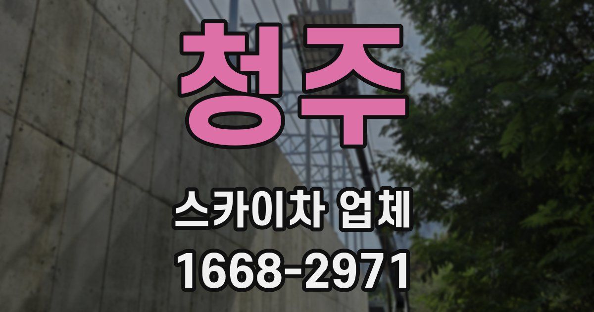 청주 스카이차 업체