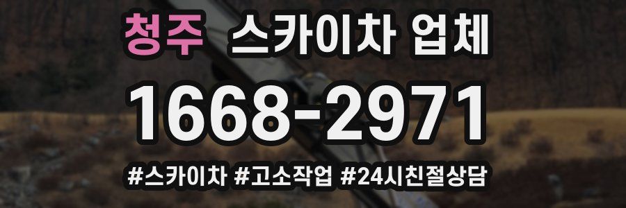 청주 스카이차 업체