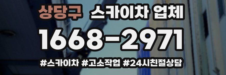 상당구 스카이차 업체