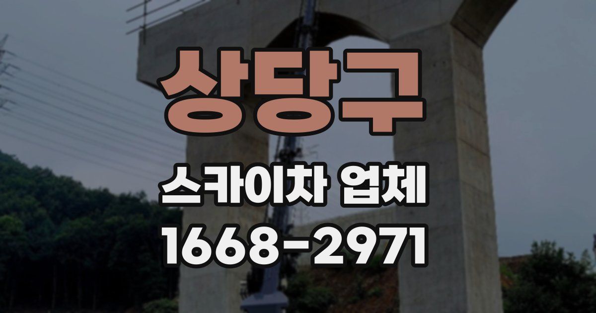 상당구 스카이차 업체