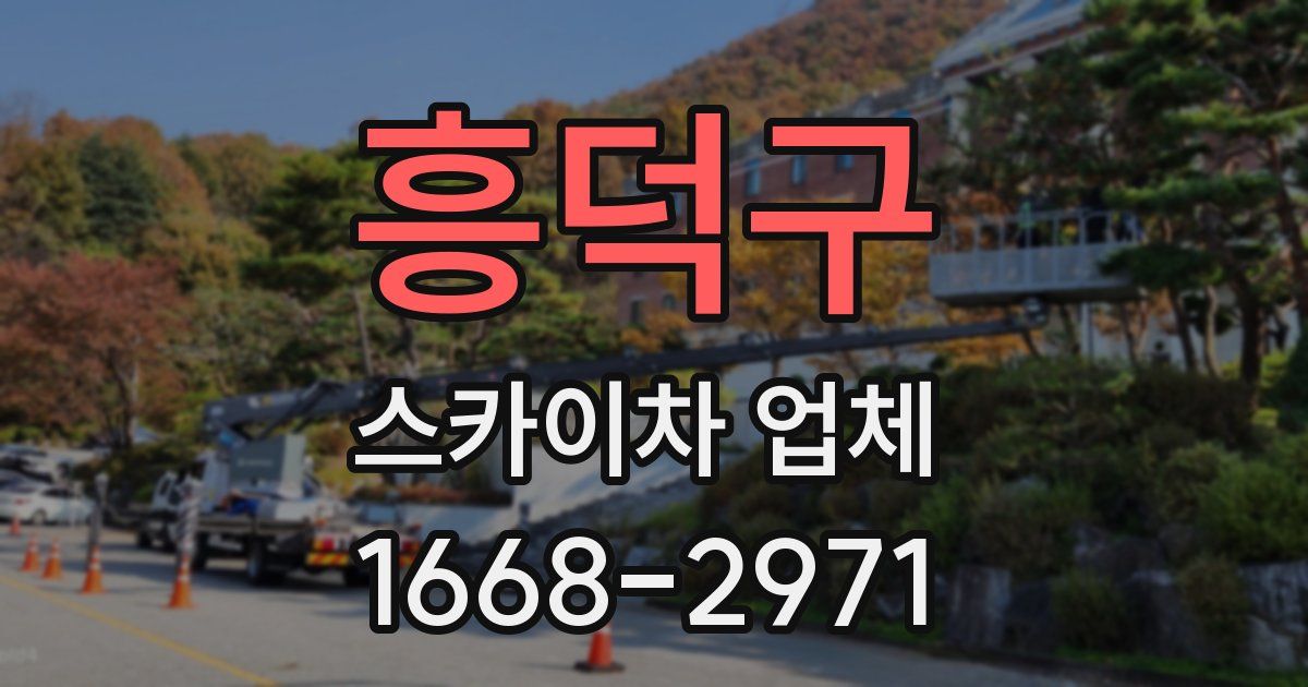 흥덕구 스카이차 업체
