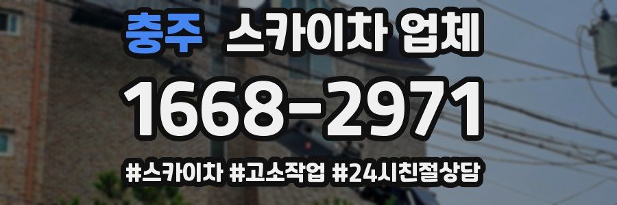 충주 스카이차 업체