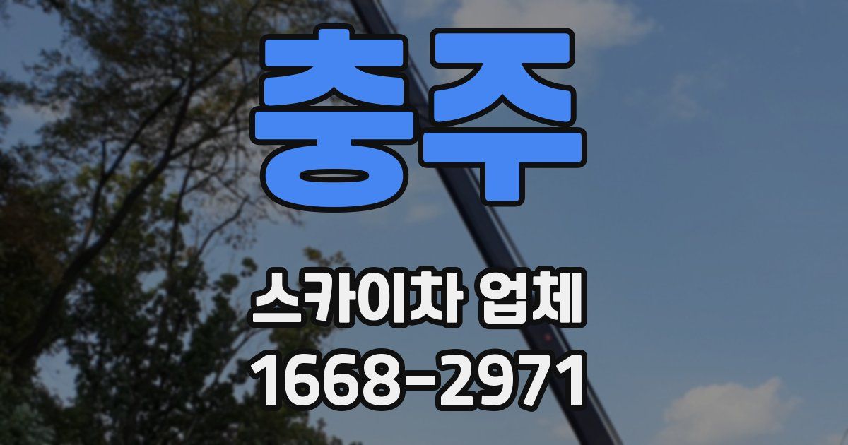 충주 스카이차 업체