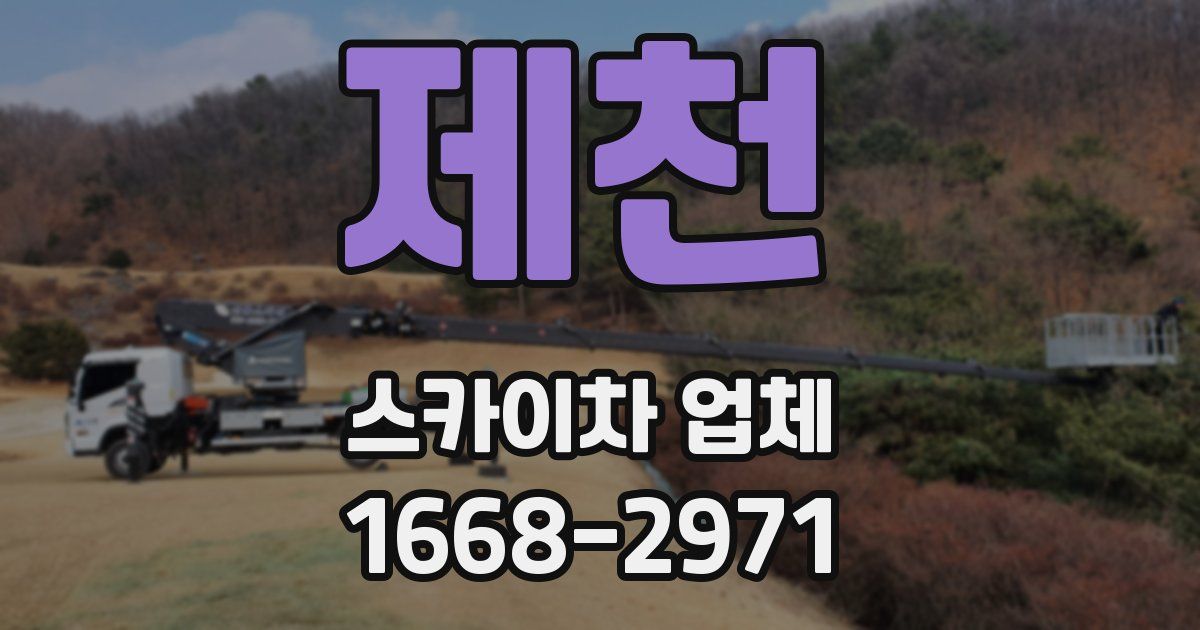 제천 스카이차 업체
