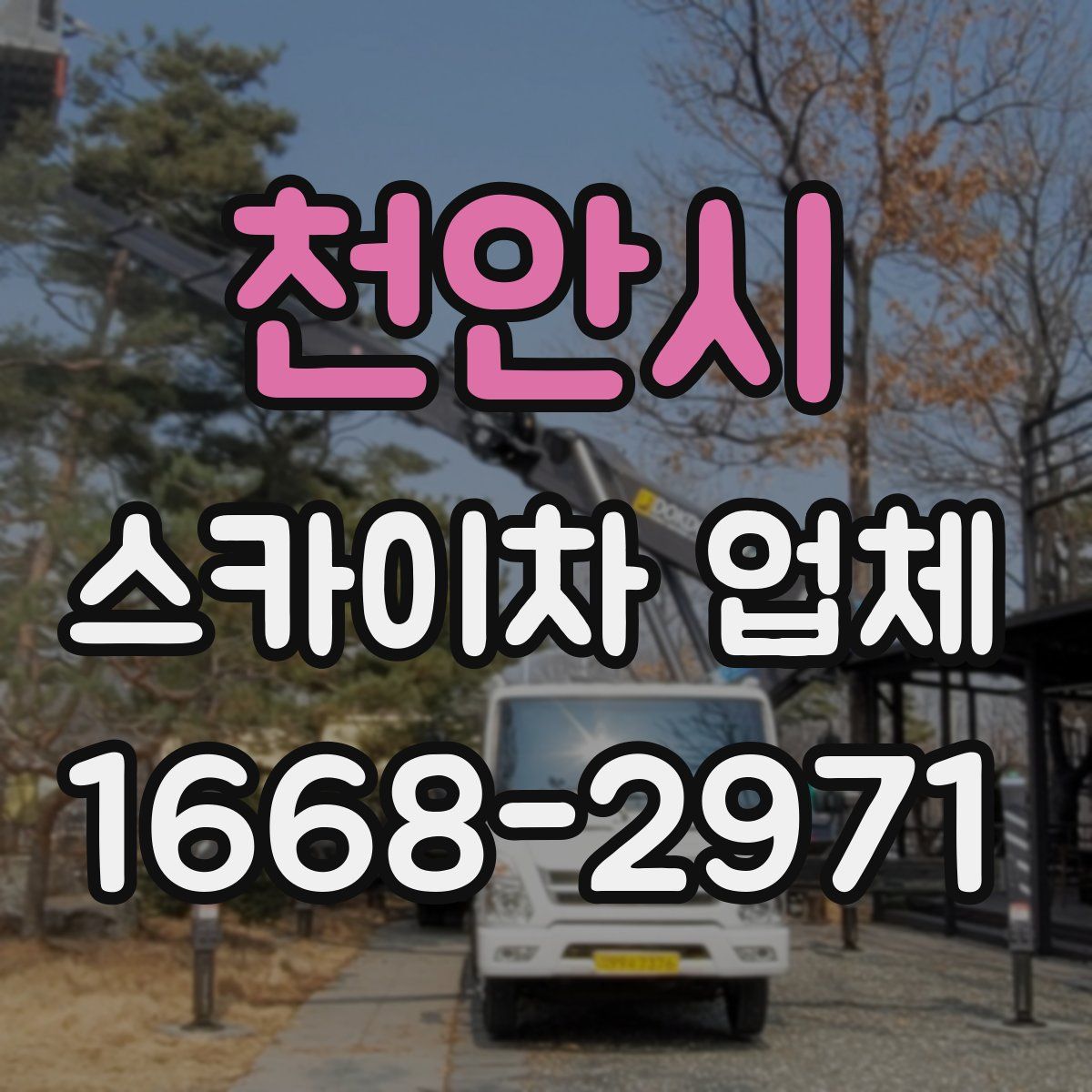 천안시 스카이차 업체