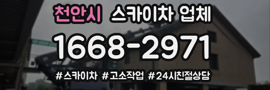 천안시 스카이차 업체
