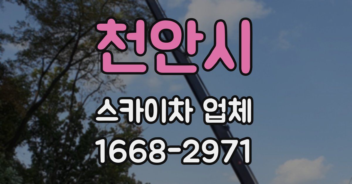 천안시 스카이차 업체