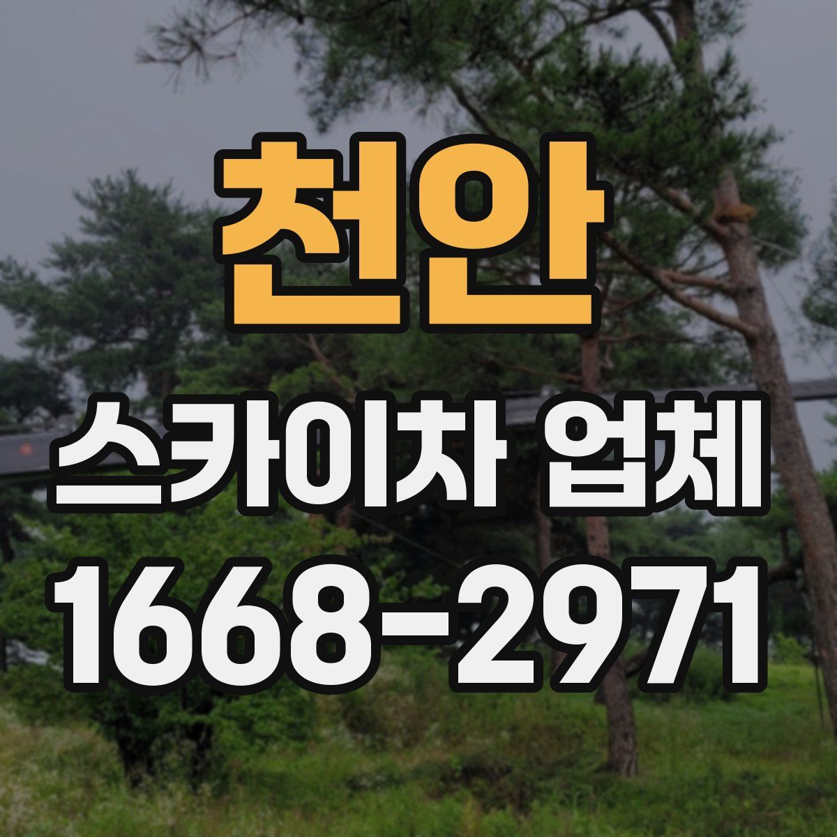 천안 스카이차 업체