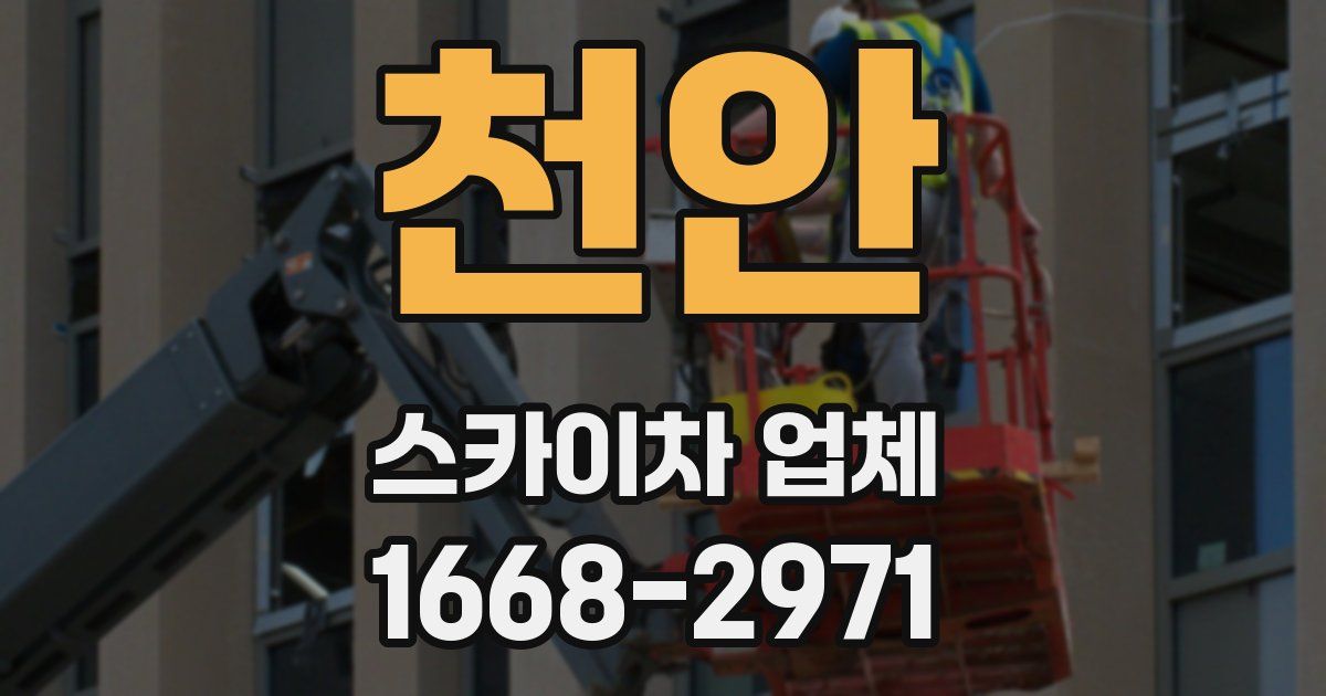 천안 스카이차 업체