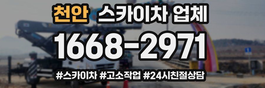 천안 스카이차 업체
