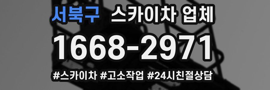 서북구 스카이차 업체