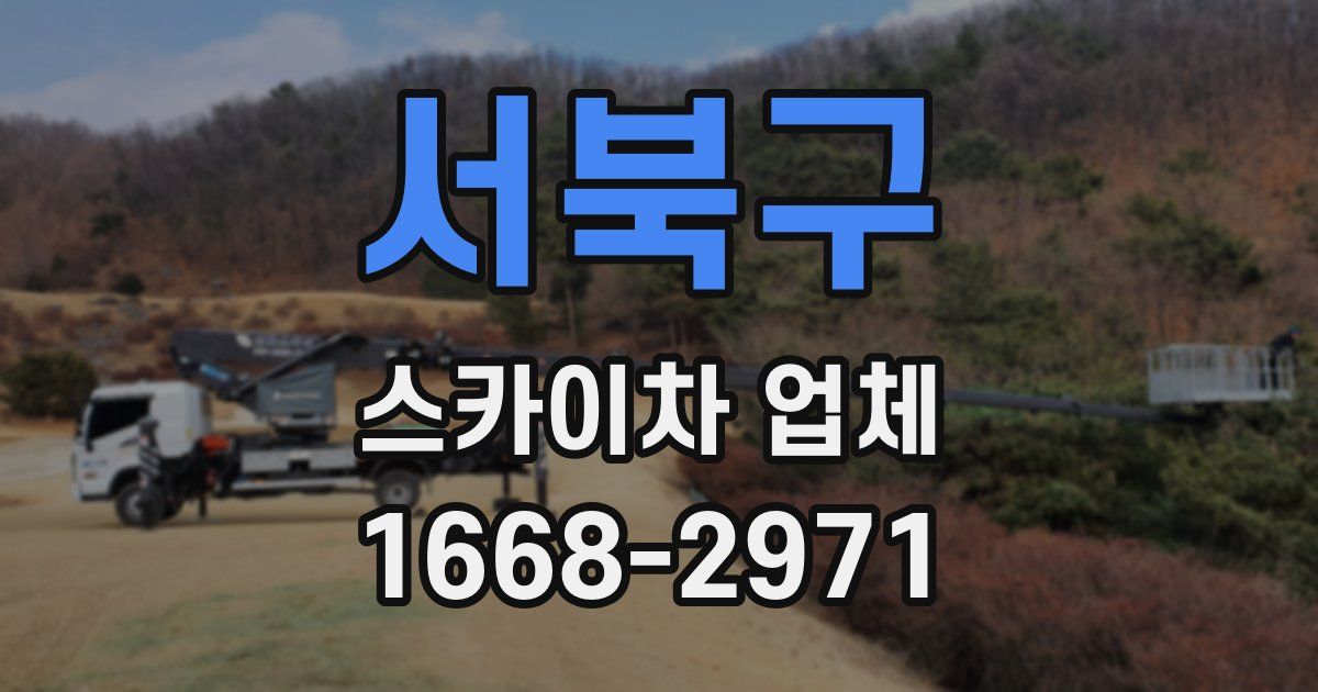 서북구 스카이차 업체