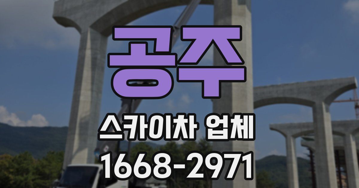 공주 스카이차 업체