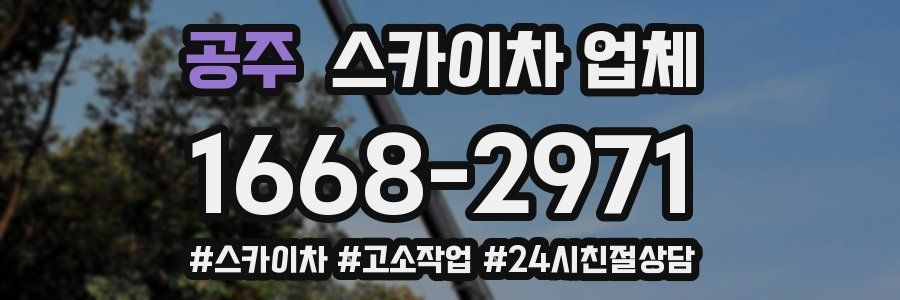 공주 스카이차 업체
