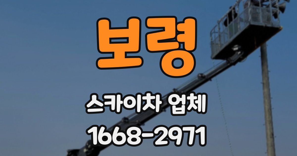 보령 스카이차 업체