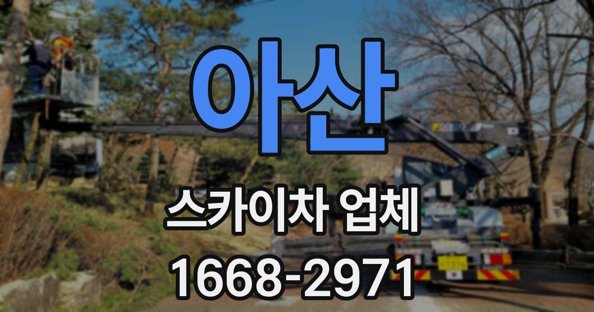 아산 스카이차 업체