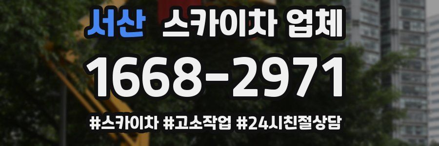 서산 스카이차 업체