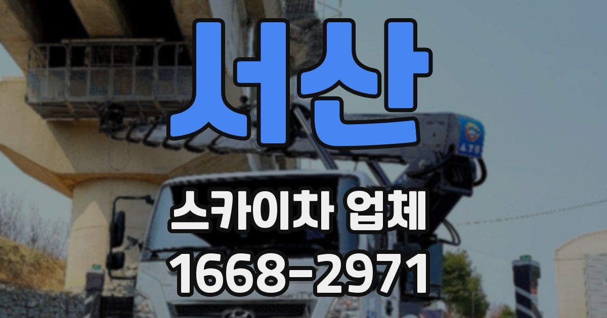 서산 스카이차 업체