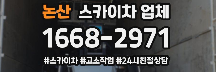 논산 스카이차 업체