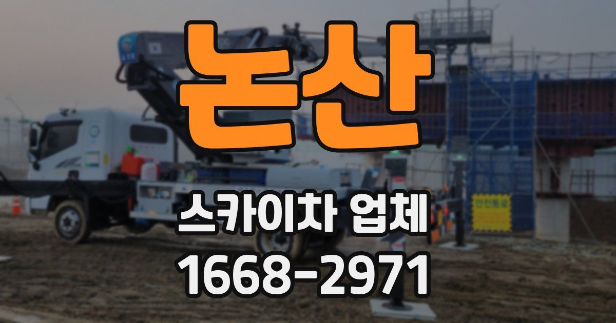 논산 스카이차 업체