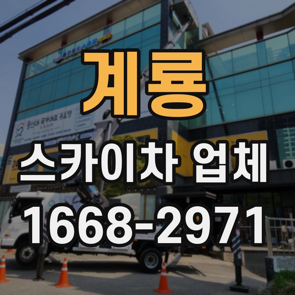 계룡 스카이차 업체
