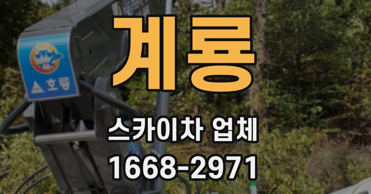 계룡 스카이차 업체