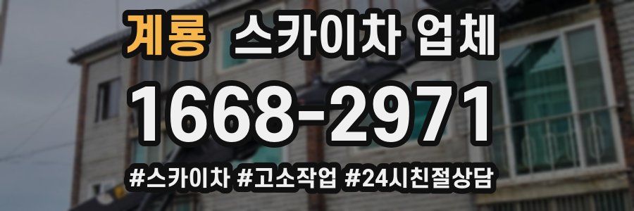 계룡 스카이차 업체