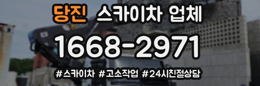 당진 스카이차 업체