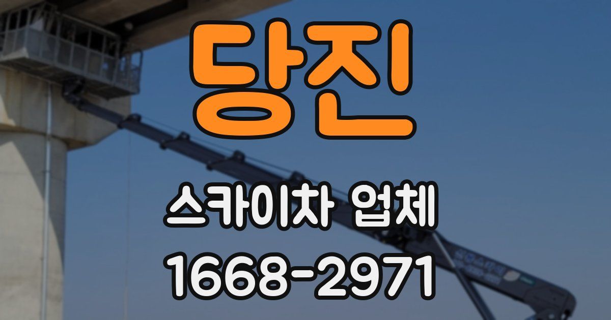 당진 스카이차 업체