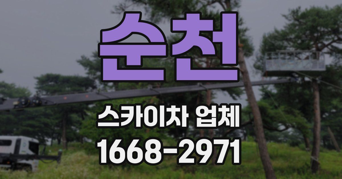 순천 스카이차 업체