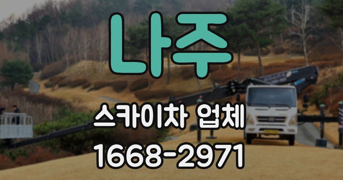 나주 스카이차 업체