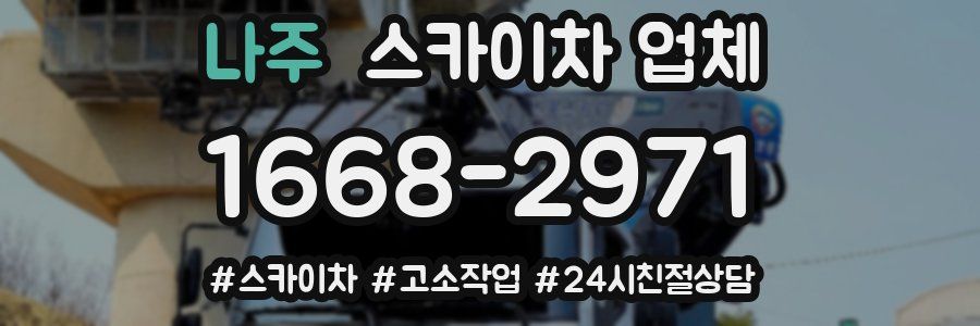 나주 스카이차 업체